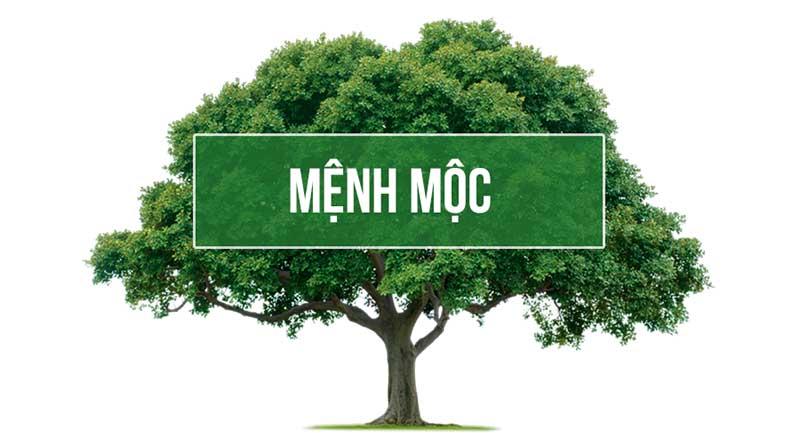 Tổng quan về mệnh Mộc