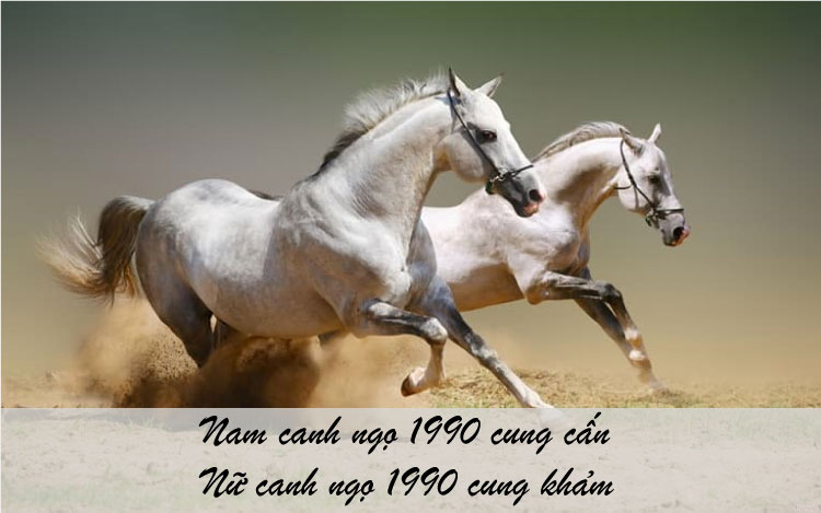 Nam Canh Ngọ 1990 cung cấn, nữ Canh Ngọ 1990 cung khảm