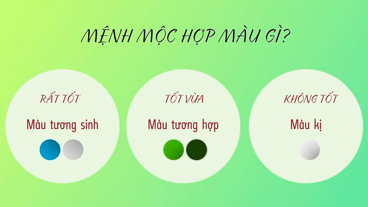 Bảng màu phong thuỷ cho người mệnh Mộc