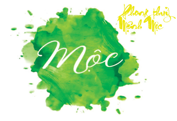 Tổng quan phong thuỷ mệnh mộc