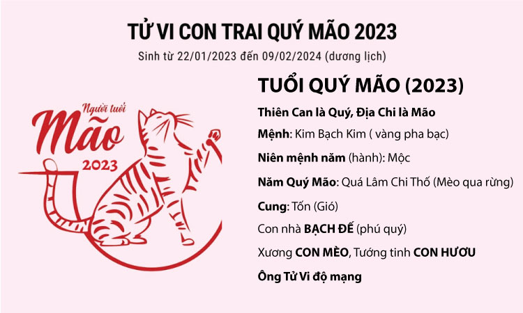 Tử vi của người nam năm 2023 Quý Mão
