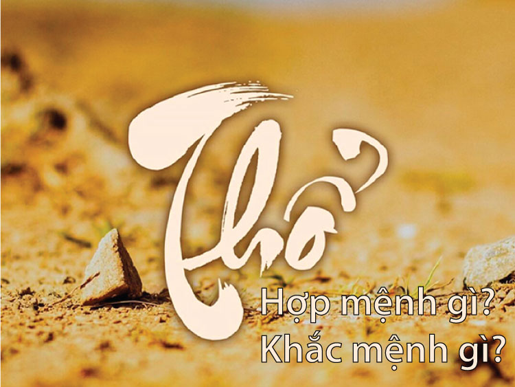 Mệnh Thổ Hợp Mệnh Gì Mang Lại May Mắn Trong Cuộc Sống