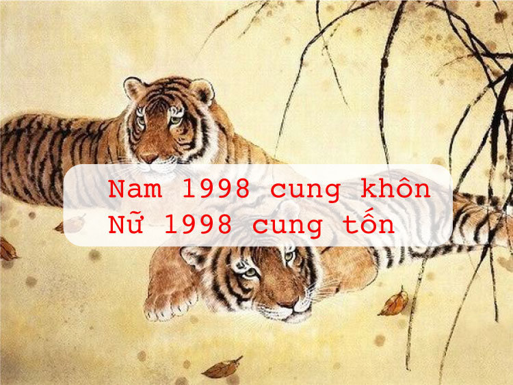 Nam 1998 cung khôn, nữ 1998 cung tốn