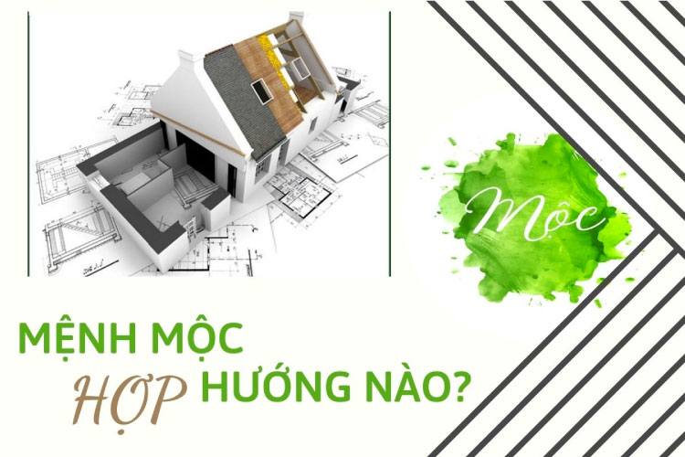 Hướng hợp với người Mệnh Mộc