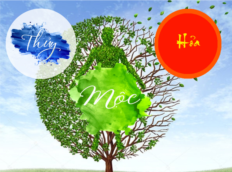 Mệnh Mộc hợp mệnh gì nhất? Khắc mệnh gì?