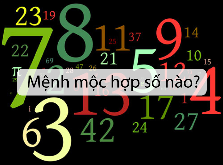 mệnh mộc hợp số nào