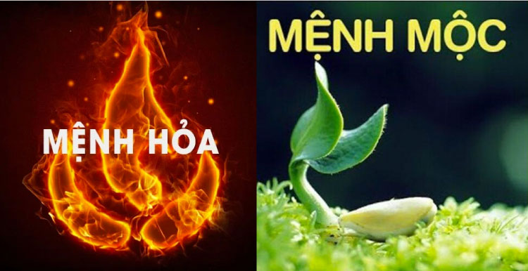 Mệnh Mộc hợp mệnh Hỏa