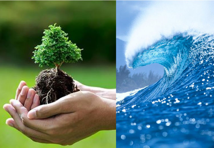 Mệnh mộc hợp mệnh thuỷ