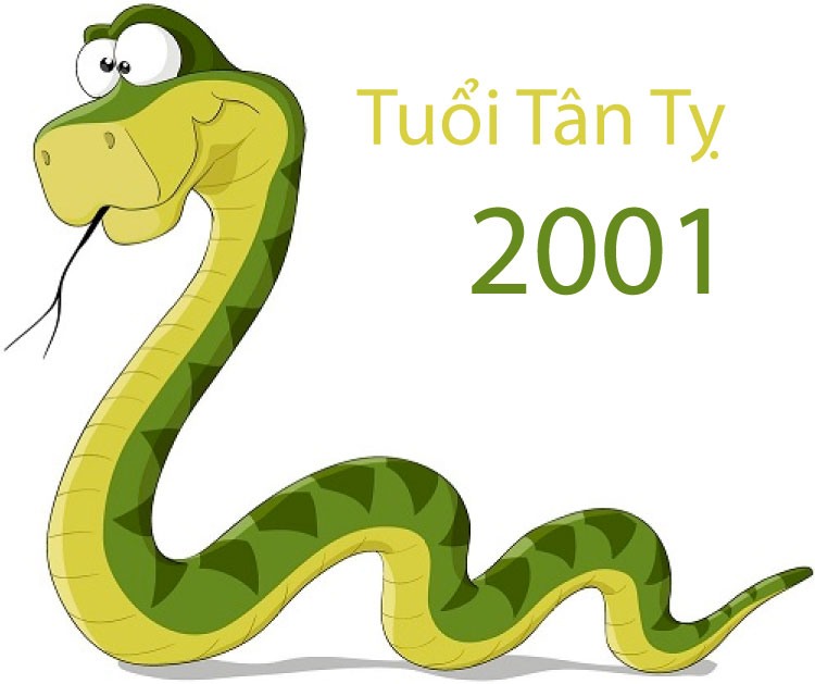 Sinh năm 2001 sẽ mang tuổi Tân Tỵ tức tuổi con rắn