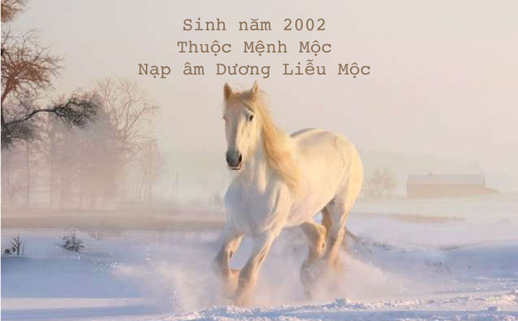 Người sinh năm 2002 thuộc mệnh Mộc, nạp âm Dương Liễu Mộc
