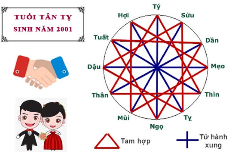 Tuổi hợp với tân tỵ sinh năm 2001 trong làm ăn và kết hôn