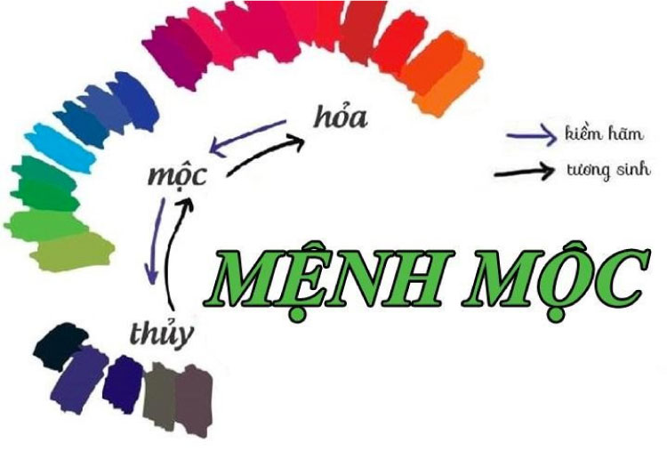 Màu sắc phong thuỷ cho Bình Địa Mộc là màu của mệnh Mộc