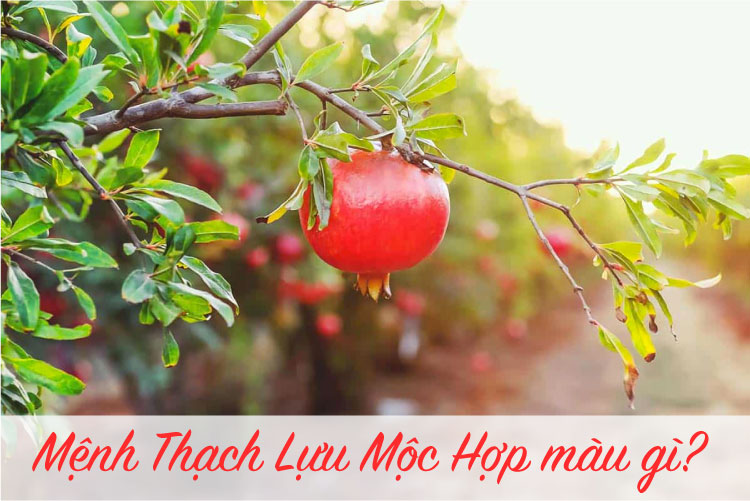 Màu sắc tương sinh – Tương khắc của mệnh Thạch Lựu Mộc