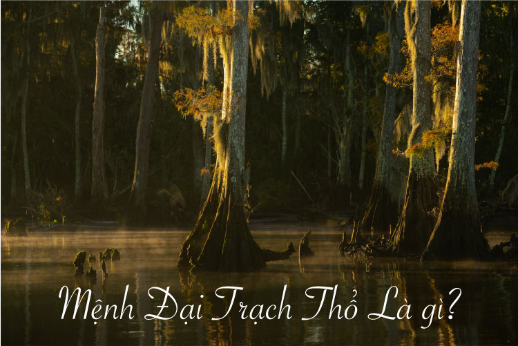 Mệnh Đại Trạch Thổ được hiểu là vùng đất đầm lầy
