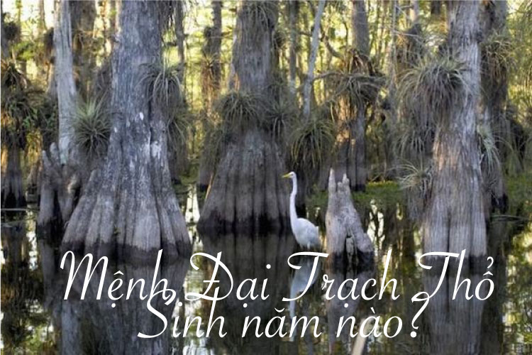 Người thuộc nạp âm Đại Trạch Thổ sinh vào các năm mậu thân và kỷ dậu