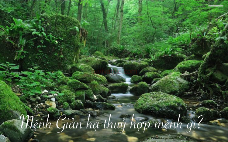 Mệnh hợp với nạp âm Giản Hạ Thuỷ