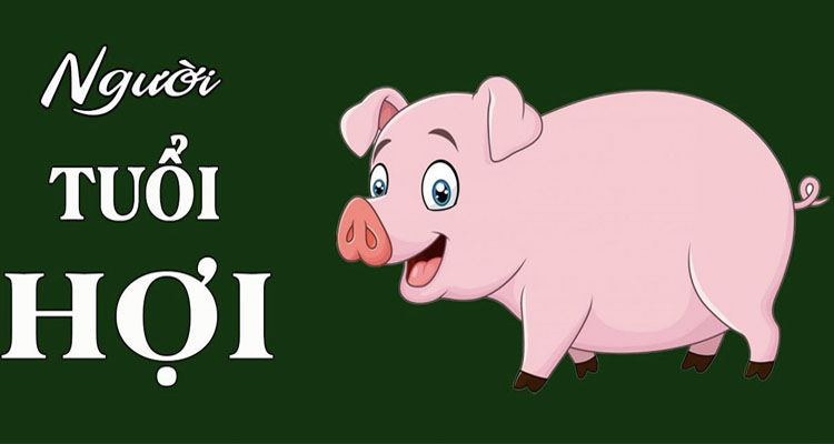 Hợi trong 12 con giáp là gì?