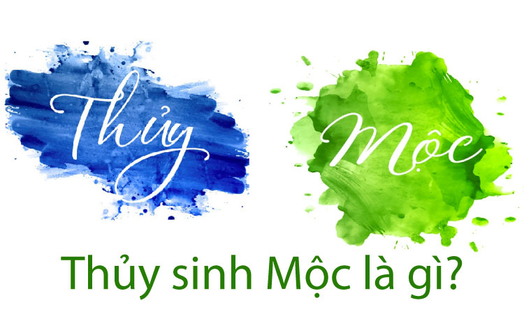 thuỷ sinh mộc là gì