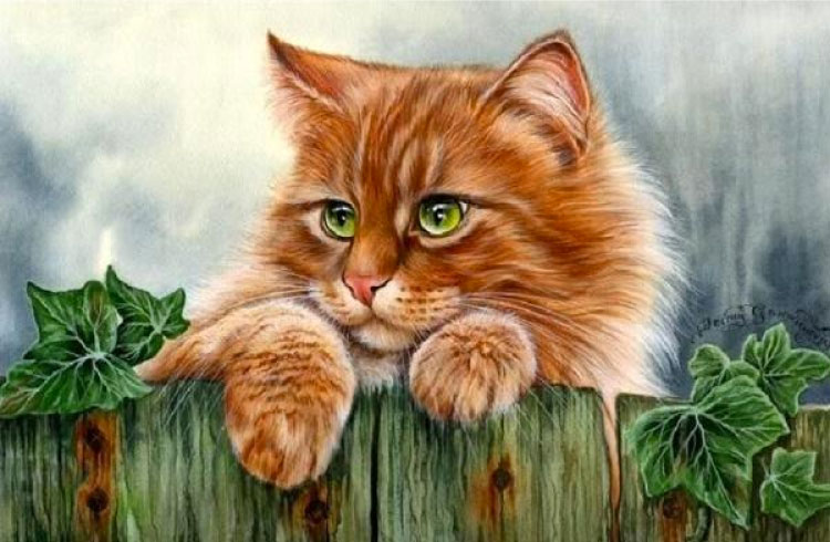Tổng quan về Tuổi Mão