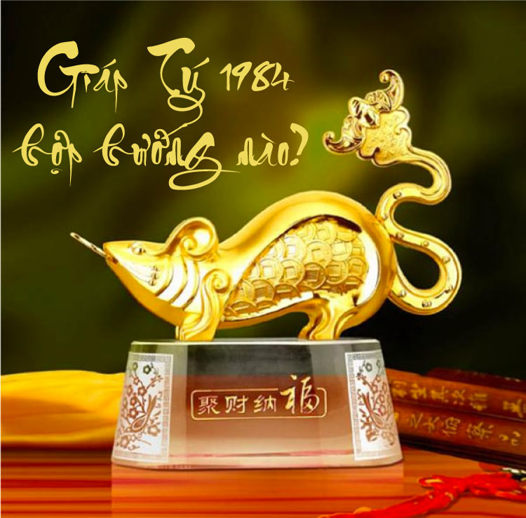 tuổi giáp tý hợp hướng nào