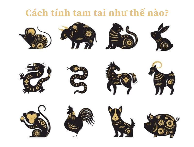 Cách tính hạn tam tai
