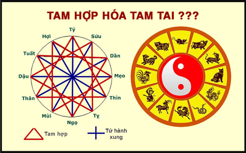 tam hợp hoá tam tai là gì